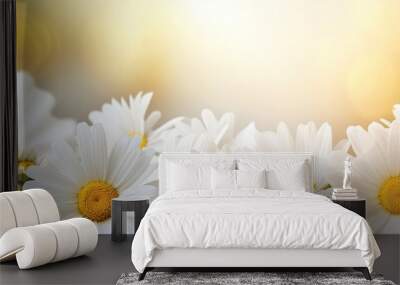 close up of bouquet of daisies flowers as background. Creative banner. Copyspace image Wall mural