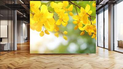 Close up soft focus the golden shower tree blooming with nature blurry background Cassia fistula flower selection focus only some point on image. Creative banner. Copyspace image Wall mural