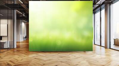 Copy space image of a sunny and green summer background creating a blurred effect Excellent for adding text Wall mural