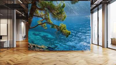 Copy space image showcasing pine trees by a serene blue water on the hill s edge Wall mural