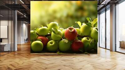 Fresh ripe green apples summer fruit harvest. Creative Banner. Copyspace image Wall mural