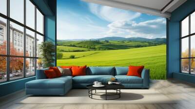 Grass on the field during sunrise Agricultural landscape in the summer time. Creative banner. Copyspace image Wall mural