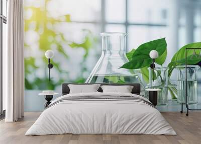 green leaf plant with glassware flask and vial in biotechnology science laboratory background Wall mural