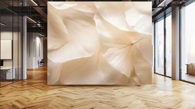 Nature abstract of flower petals, beige transparent leaves with natural texture as natural background or wallpaper. Macro texture, neutral color aesthetic photo with veins of leaf, botanical design. Wall mural