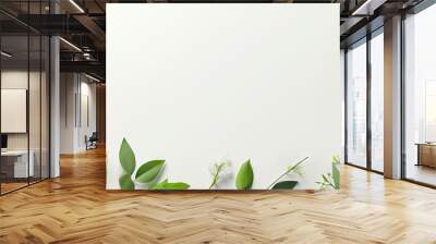 Nature themed design and decoration concept with greenery on isolated pastel background Copy space Wall mural