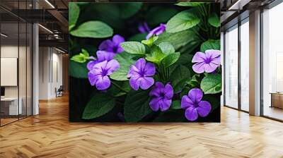 Purple summer flowers close up on a background of green leaves. Creative banner. Copyspace image Wall mural