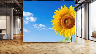 Shiny yellow sunflower in the abundance plantation field against blue bright vibrance sky background on sunny day in summer. Creative banner. Copyspace image Wall mural