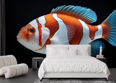 Snow Onyx Clownfish Amphriprion ocellaris x Amphriprion percula. Creative Banner. Copyspace image Wall mural