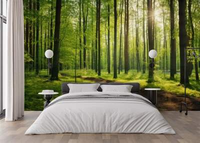 tall straight trees in a sunny forest in the summer. Creative banner. Copyspace image Wall mural