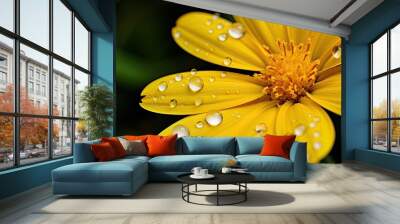 Yellow macro flower with the rain on it with the green grass background. Creative banner. Copyspace image Wall mural