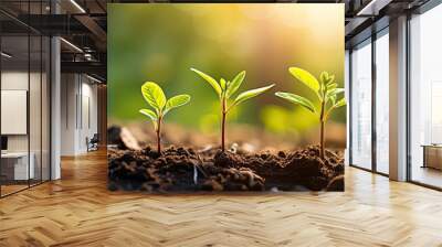 young plants before planting in the garden. Creative banner. Copyspace image Wall mural