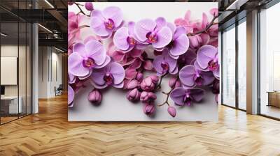 Purple phalaenopsis orchid flower on white background. Wall mural