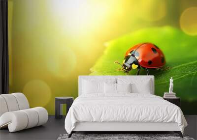 Close-up of a ladybug on a bright green leaf with a blurred background of sunlight Wall mural