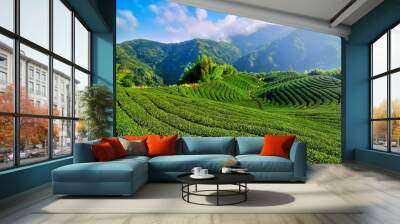 Tea plantation Wall mural