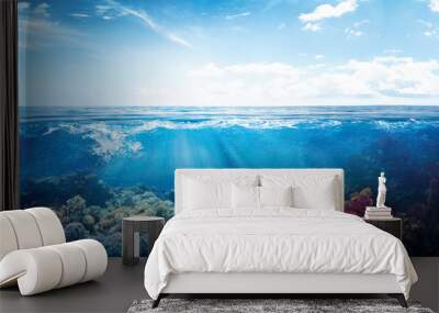 background of beautiful coral reef with marine tropical fish visited here Wall mural