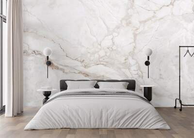 Elegant White Marble Texture. A high-resolution image of a pristine white marble with subtle veins, perfect for showcasing its luxurious texture and pattern. Wall mural