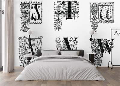 Assorted vintage engraved illustrated ornate letters, Black and White.  Wall mural