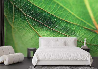 Macro Photography of a freen plant leaf with structure, detail and depth of field Wall mural