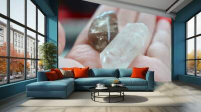 Clear Quartz Point & Tumbled Dark Smokey. Premium quality crystal Smoky Quartz, crystal point stone bundle. Clear and Smoky Set Wall mural