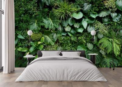 herb wall plant wall natural green wallpaper and background nature wall nature background of green forest Wall mural