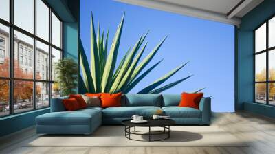 Yucca against blue sky Wall mural