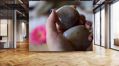 Set of 2 Jumbo Agate Palm Stones. Tumbled polished Agate; Crystals for creativity and intellect. Harmony and grounding. Large Agate with summer flowers. Crisp colors, banded agate stones Wall mural