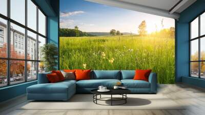 summer green rural meadow with field plants and grass countryside seasonal landscape with sun Wall mural