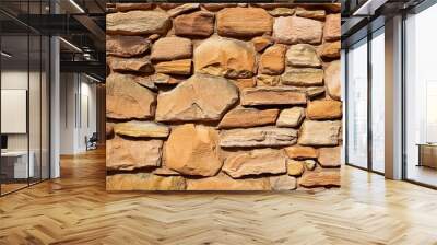 the flat surface of a rough sandstone wall with interesting patterns and colors Wall mural