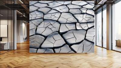 the texture of a rough cracked concrete floor Wall mural