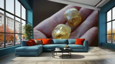 Tumbled Citrine being held in woman's hand. Healing crystal citrine, great for positive thinking. CHakra healing, reiki energy work. Meditation witches stone. Yellow, golden crystal.  Wall mural