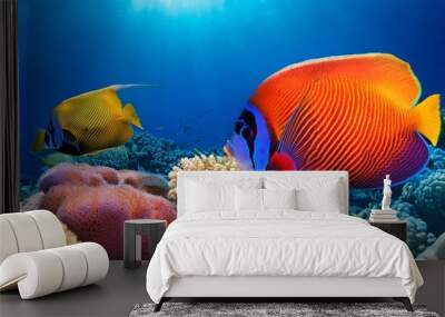 two tropical fish in a vibrant coral reef Wall mural