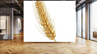 Golden wheat Isolated on white background. 3d illustration Wall mural