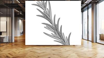 Rosemary branch.  Hand drawn vector illustration - Vector Wall mural