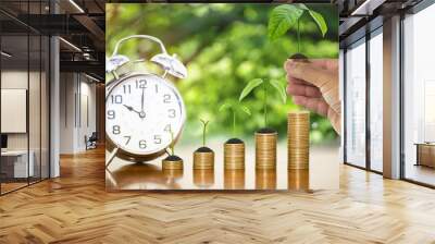 Money growing plants on money coins stack arranged as graph and alarm clock with businessman hand holding money coin with tree growing putting on stack of money coin, concept of time to money growth Wall mural