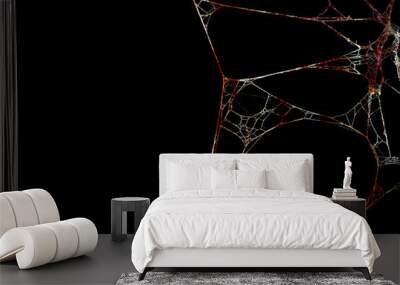 Spider web or cobweb is marked with bloodstains on black background, Bloody scary and horror Wall mural