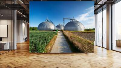 Three large silver biogas domes with ribbed metallic surfaces stand in a row along a dirt road, surrounded by green agricultural fields Wall mural