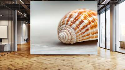 Beautiful conch shell resting on a clean surface with intricate patterns displayed Wall mural