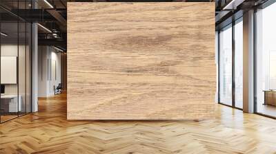 Oak wood cut texture. Oak texture. Wall mural