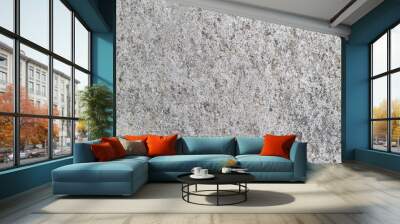 Texture of a stone wall with cracks and scratches which can be used as a backgr. The texture of the stone. Wall mural