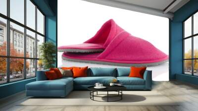 A pair of pink slippers Wall mural