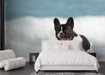 French bulldog on the beach Wall mural