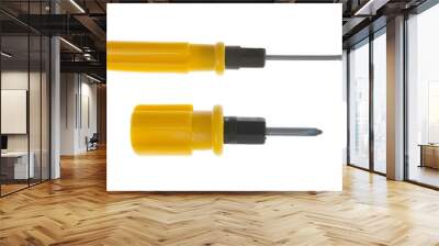 Two screwdrivers Wall mural