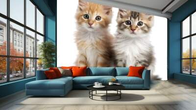 Two fluffy kittens are sitting together. Isolated on a transparent background. KI. Wall mural