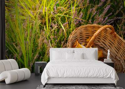 Tasty raw orange chantarelles in the wicker basket in green grass with heather flowers Wall mural