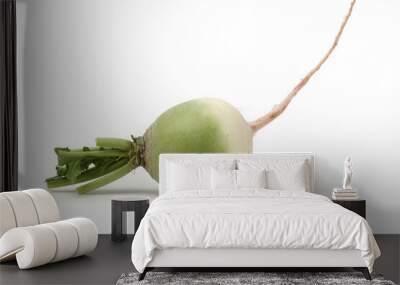 party loyalty radish on white background  Wall mural