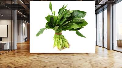 spinach leaf on white background. Wall mural