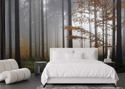 Misty autumn forest after rain Wall mural