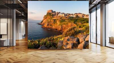 Panorama of Capraia city on the rock of Isola di Capraia island Wall mural