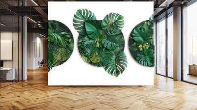 Tropical exotic plant leaf nature monstera jungle foliage botanical green decoration rainforest palm flora summer spring arrangement Wall mural