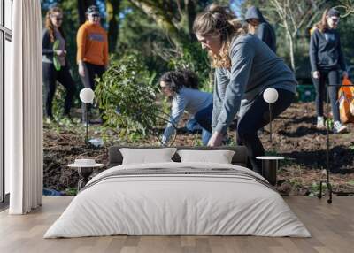 A group of people are working together to clean up a park Wall mural